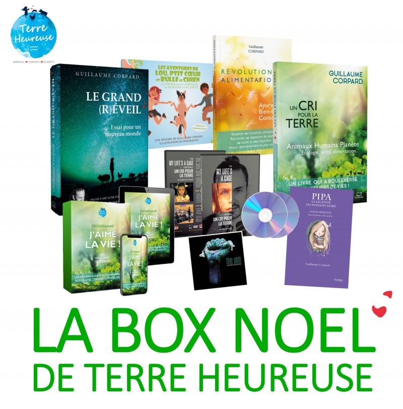 BOX KDO POUR NOËL (nombre...