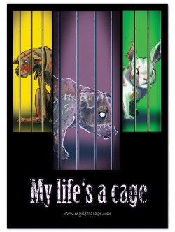 Autocollant My Life's a Cage - "3 animaux couleur"